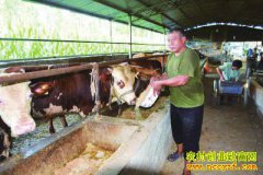 �������ݷ�����ֳ��ţ��ƶ�¸�