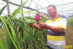 ������ֲ��������Ķ����Ԫ������