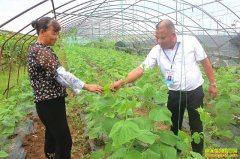 ѭ���������Ĵ����������1Ķ�߲˵��ֳ�2ĶЧ��