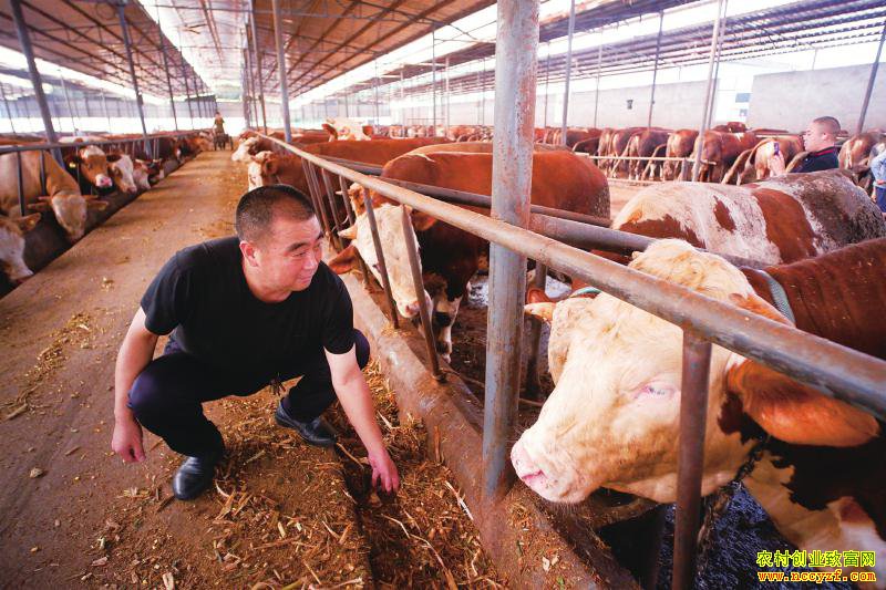 �Ĵ������೤������ţ����ţ�ơ�