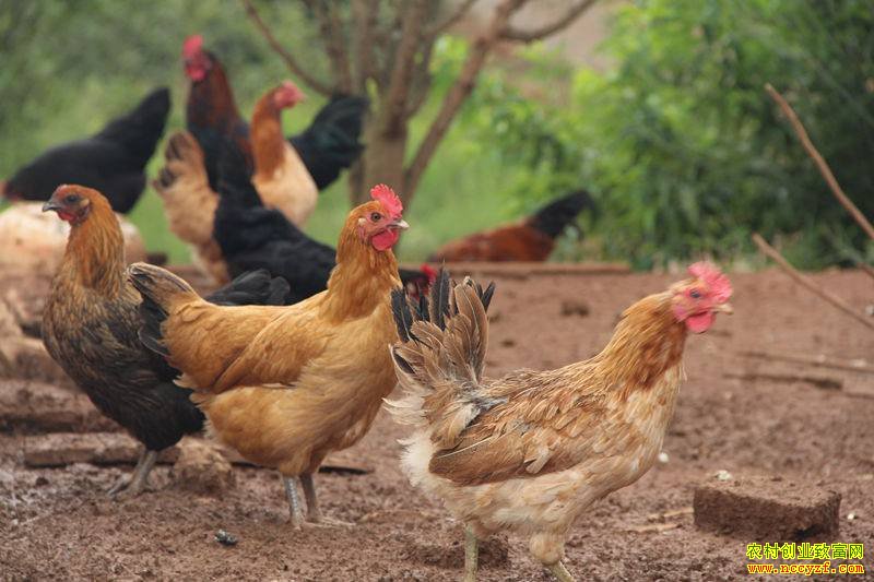 ��ɽ���硱���ȡ��ġ���30��Ԫ