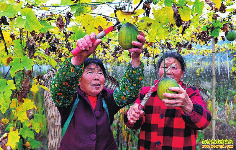 �Ĵ��Ͻ��ű���紴ҵ�ֹ��䷢չ��ҵ������