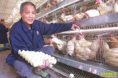 �Ĵ�������Ѯ�Ϻ����ƽ���ֳ����������� 6 ���