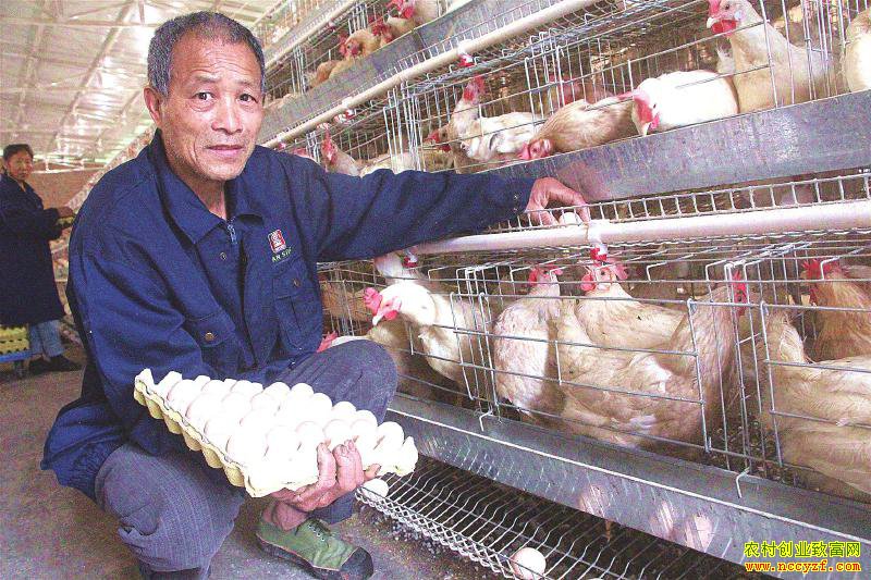 �Ĵ�������Ѯ�Ϻ����ƽ���ֳ����������� 6 ���