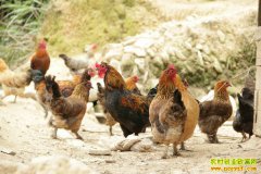 �Ĵ�������������̬�������������������¸�·