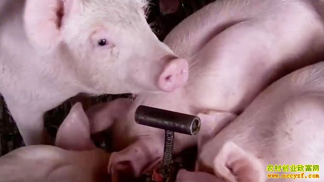 ���¸����� 20201110 �������� ����׬Ǯ