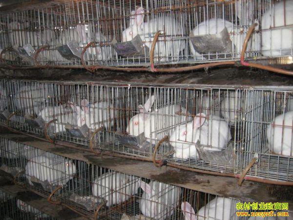 ������׬Ǯ�𣿺��ϻ�����������ֳ̡�������¸�·