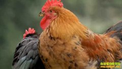 ���¸����� 20210106 ��ƽ���������ϼƲ���֮��