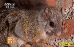 ����������������ֳ�����ÿ����¸��š�