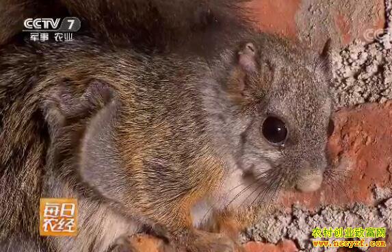 ����������������ֳ�����ÿ����¸��š�