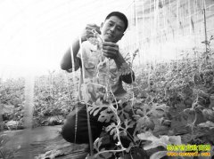 ɽ��������֮�硱������Ķ׬4��Ԫ��ɶ�ؾ�?