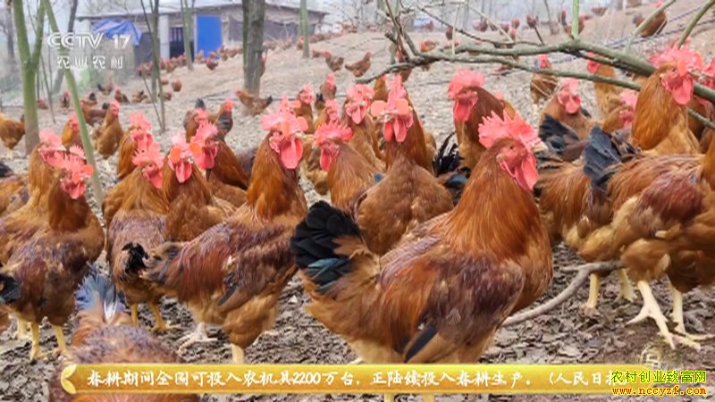 �¸�����������������˼�� ���ϱ�ɱ�