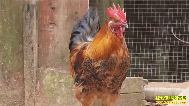 �����ʾ���㡷 20210305 �����������