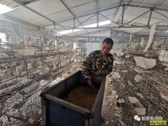 ũ��м��˸�ʲô׬Ǯ�����Ͽ�������������������¸�·