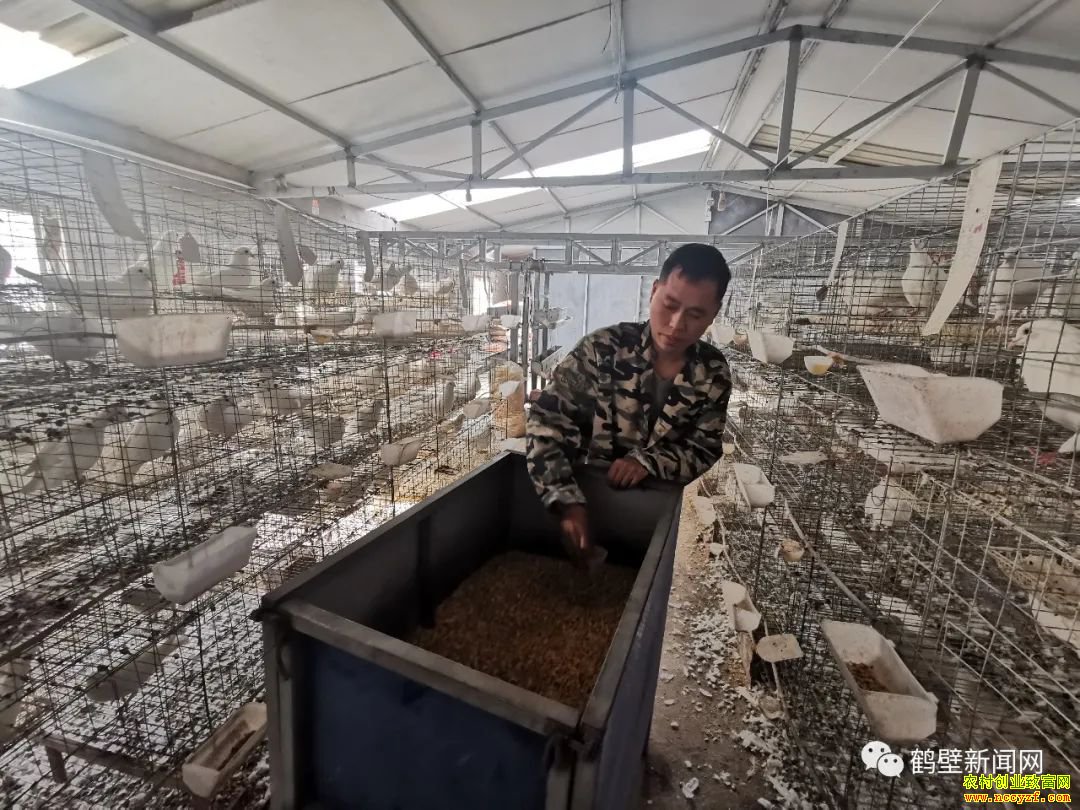 ũ��м��˸�ʲô׬Ǯ�����Ͽ�������������������¸�·