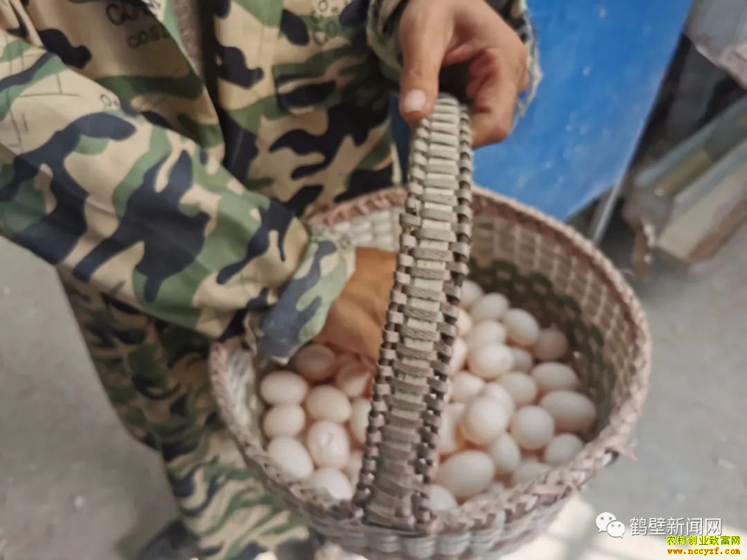 ũ��м��˸�ʲô׬Ǯ�����Ͽ�������������������¸�·