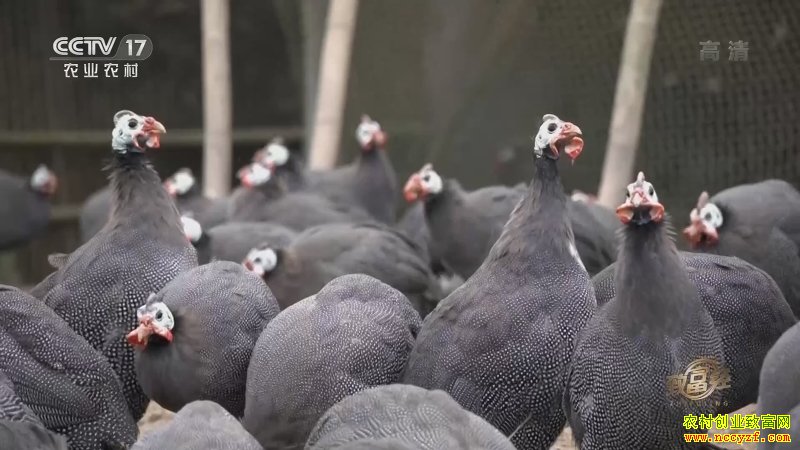 �¸�����������������˼�� ���ϱ�ɱ�