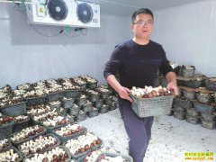 �Ĵ���̨��������������Ч��� Ķ��ֵ3��Ԫ