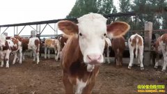 �¸���������������ʯ�ý���Ͷ��˼ά��ţ�¸�