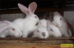 �Ĵ���Ԫ���������紴ҵ���������á�Ч���