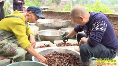 �Ĵ��ڽ��������紴ҵ��С��Ϻ����׬80��