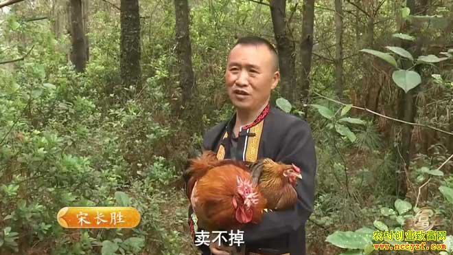 �¸�������ǿ������Ӳ��ͷ�ļ� 