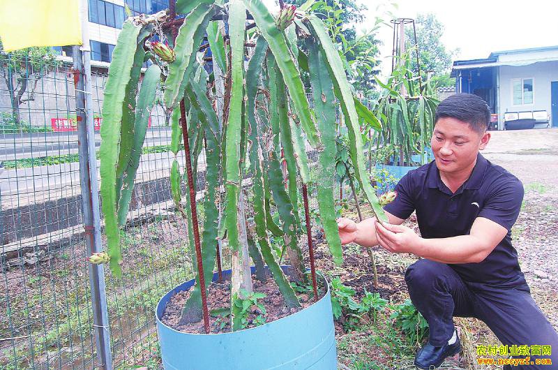 ��ֲ���Ի�������׬Ǯ ÿ���ۼ۸ߴ�1200Ԫ