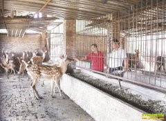 �������ɽ���޴�ҵ��ֳ÷��¹�����¸�·