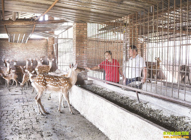 �������ɽ���޴�ҵ��ֳ÷��¹�����¸�·