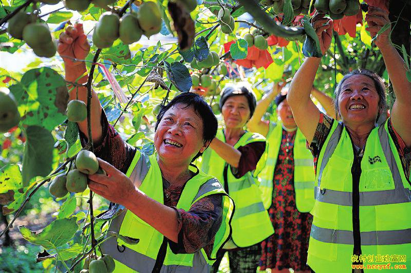 �Ĵ���������ֲ⨺����ô���ÿ������50��Ԫ