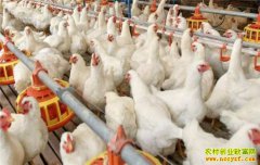  ɽ����ˮ��������ܻ���ֳ��ͬ���������Ԫ