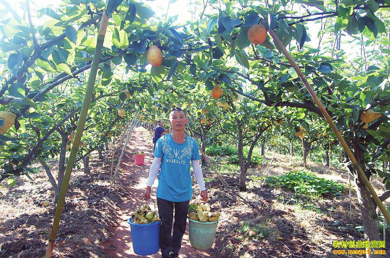 �Ĵ�������ǿ���紴ҵ��ֲ�ƽ������¸���