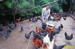 �Ĵ�����Ϳ����������׬Ǯ�����У���������ι����