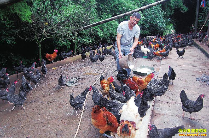 ����������׬Ǯ�ࣿ��Ϳ��������׬Ǯ����