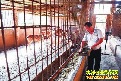 �������ɽ�������޴�ҵ��ֳ÷��¹