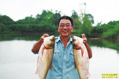 �����ɽ������ˮ���㡱Ч���