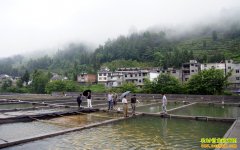 ��ֳ��ˮ��׬Ǯ��������ˮ��ɽȪˮ�������¸���ˮ�㡱