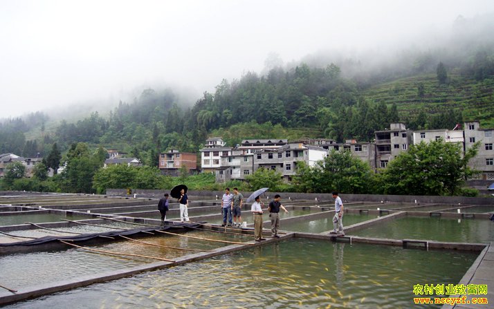 ��ֳ��ˮ��׬Ǯ��������ˮ��ɽȪˮ�������¸���ˮ�㡱