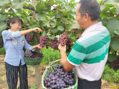 ����ʡ®��Ǯ־����ֲ��̬���Ѻ��¸�