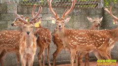 [�¸���]������������ΰ��ֳ��̭��¹���׬Ǯ�ı�