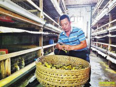 �Ĵ����ݰ�������ר�����＾��Ѽ��׬�û�