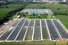 ɽ���̺������۷��ġ��θ���������ֳ300����ˮ������400��Ԫ