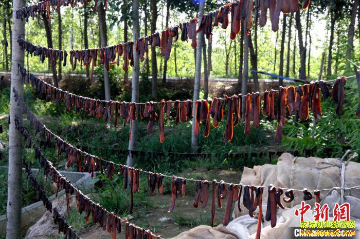 ɽ����80��С��ġ��θ���������ֳ300����ˮ������400��Ԫ