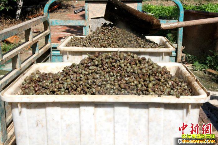 ɽ����80��С��ġ��θ���������ֳ300����ˮ������400��Ԫ