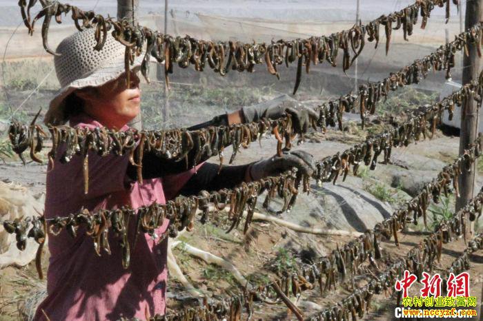 ɽ����80��С��ġ��θ���������ֳ300����ˮ������400��Ԫ