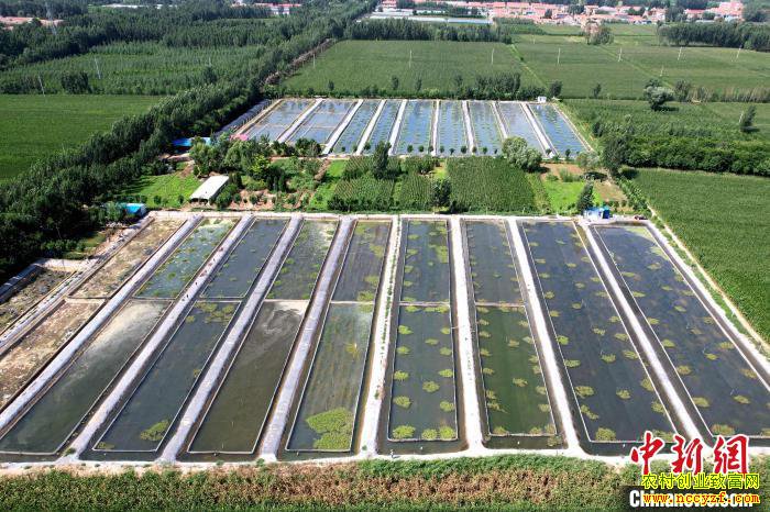 ɽ����80��С��ġ��θ���������ֳ300����ˮ������400��Ԫ