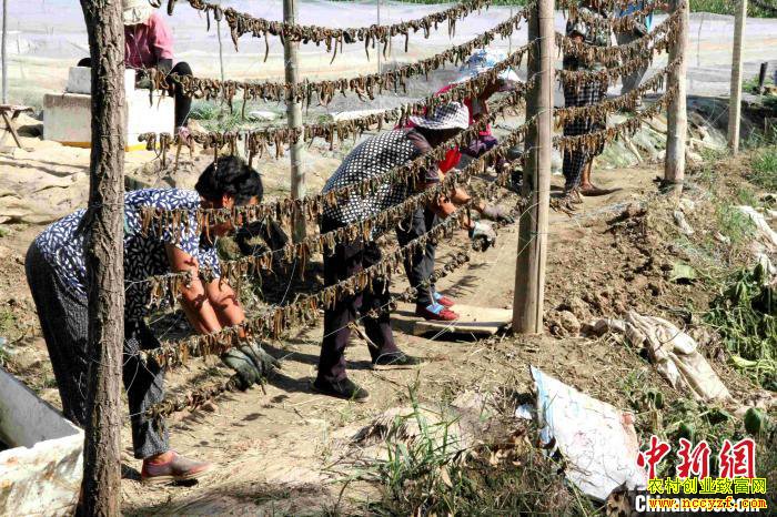 ɽ����80��С��ġ��θ���������ֳ300����ˮ������400��Ԫ