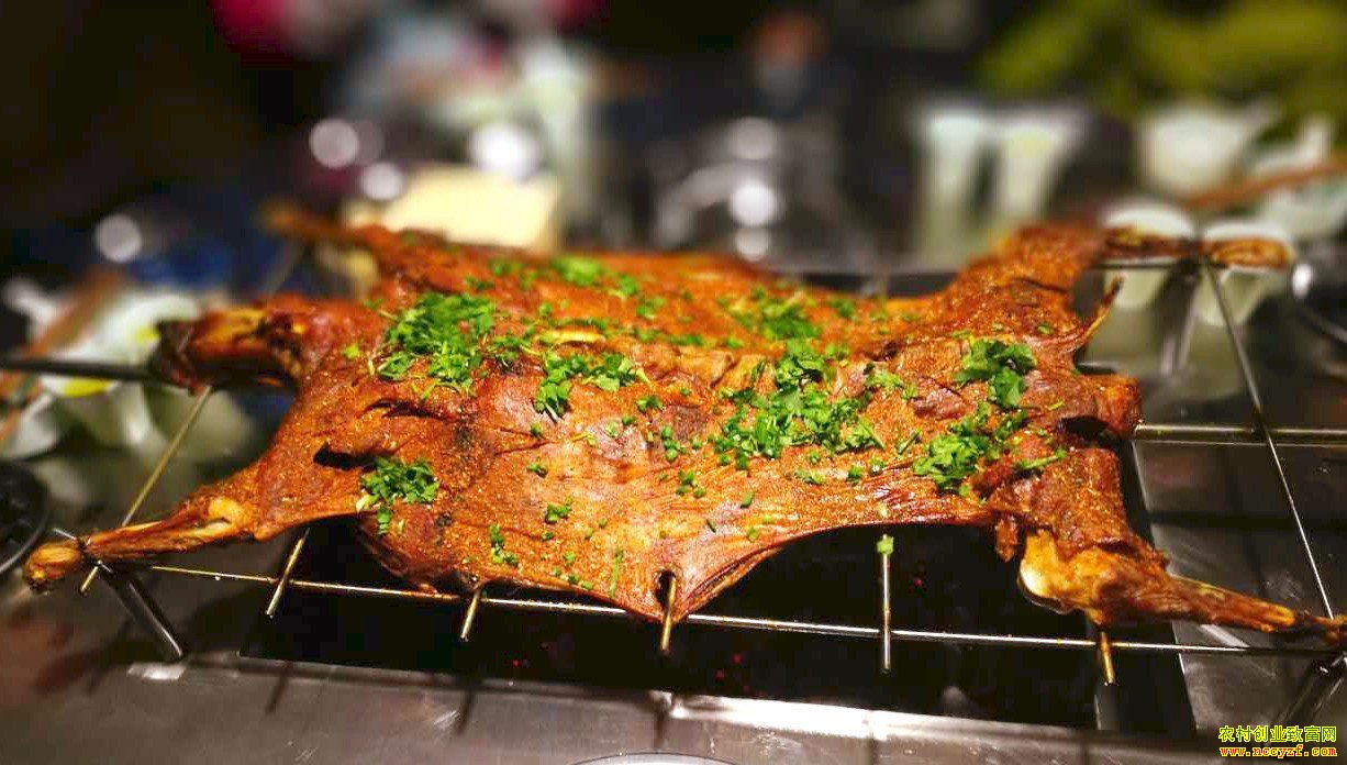 Ͷ���ټ�Ч�� ��Щ��ҵ��Ŀ��Ǯ׬