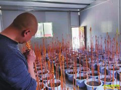 ������׬Ǯ���ʻ�����20Ԫ/�� ��ֲ������ǰ��