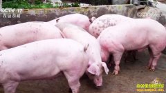 �¸���������������������ֳ������������������׬Ǯ